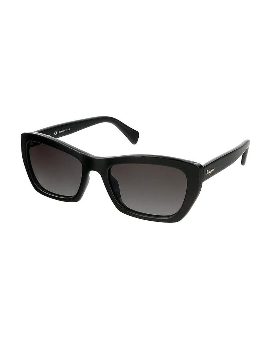 Ferragamo Brown Frame And Lens Sunglasses