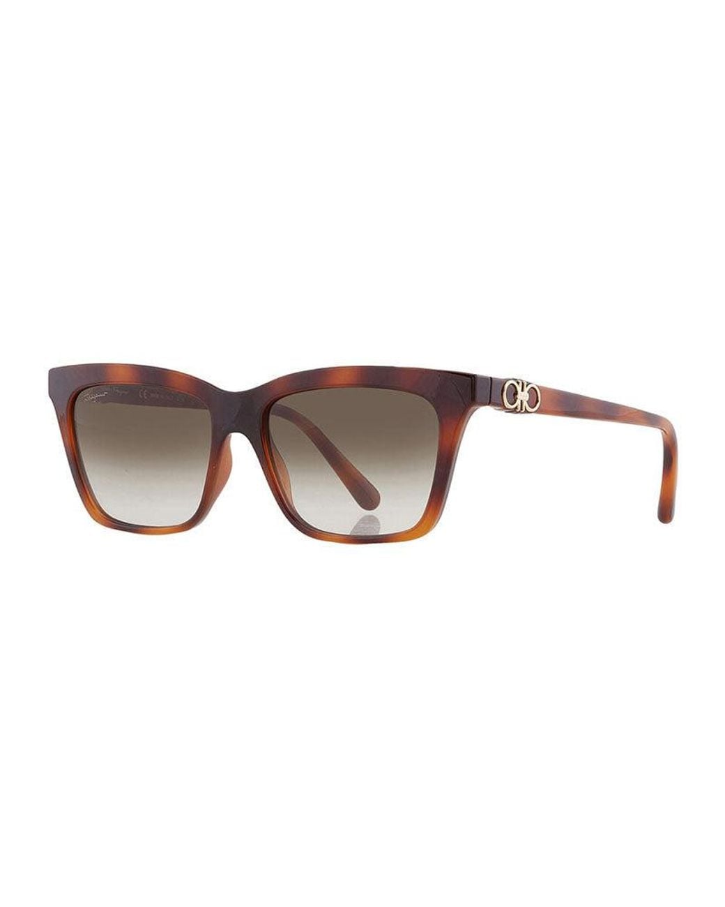 Ferragamo Brown Frame And Lens Sunglasses