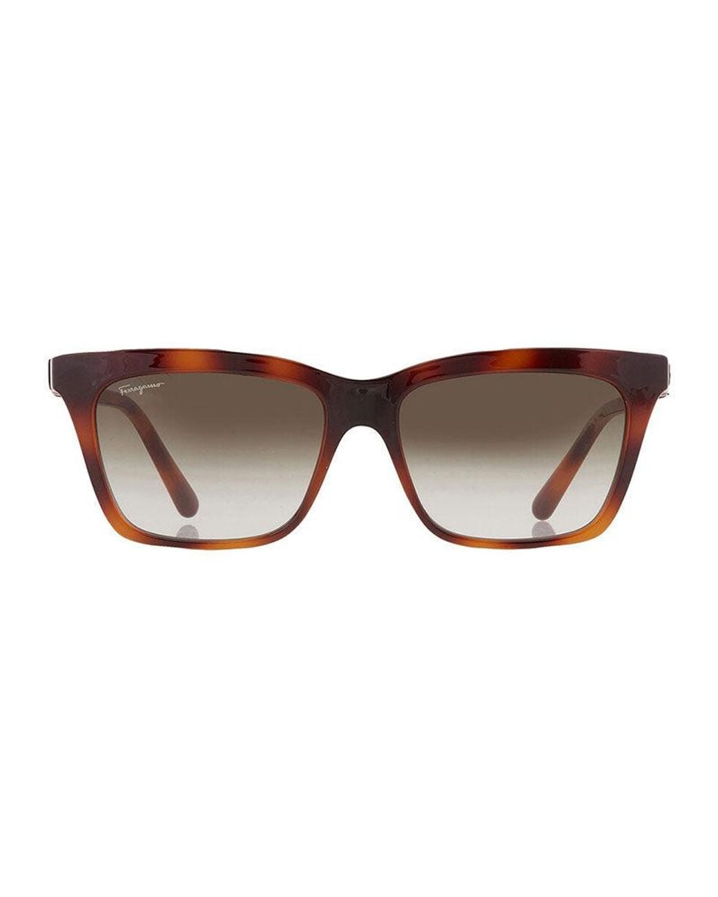 Ferragamo Brown Frame And Lens Sunglasses
