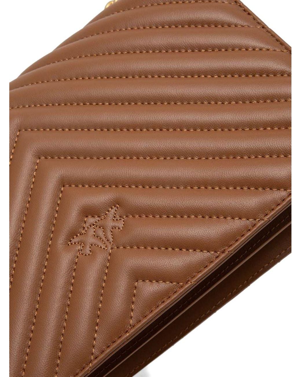 Pinko Brown Bags Lea