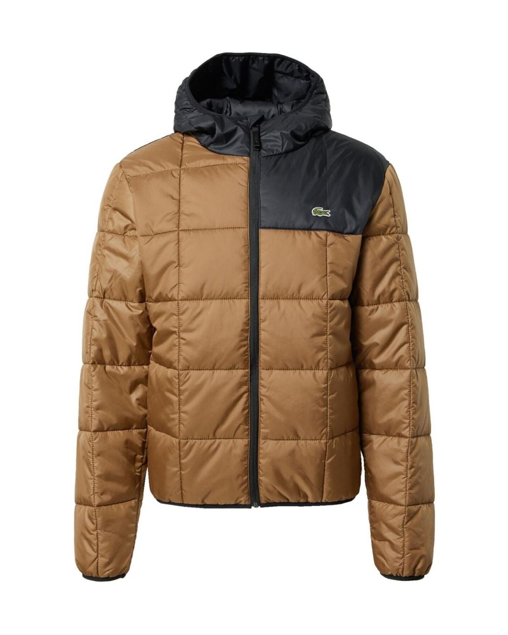 Lacoste Brown Waterproof Colour-Block Puffer Jacket for men
