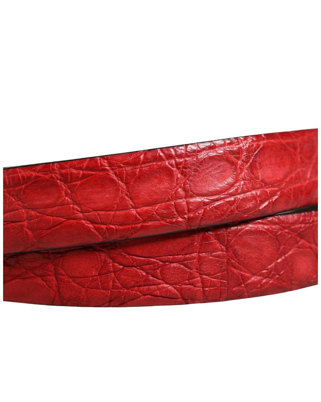Dolce & Gabbana Red Exotic Leather Metal Buckle Belt Caiman for men