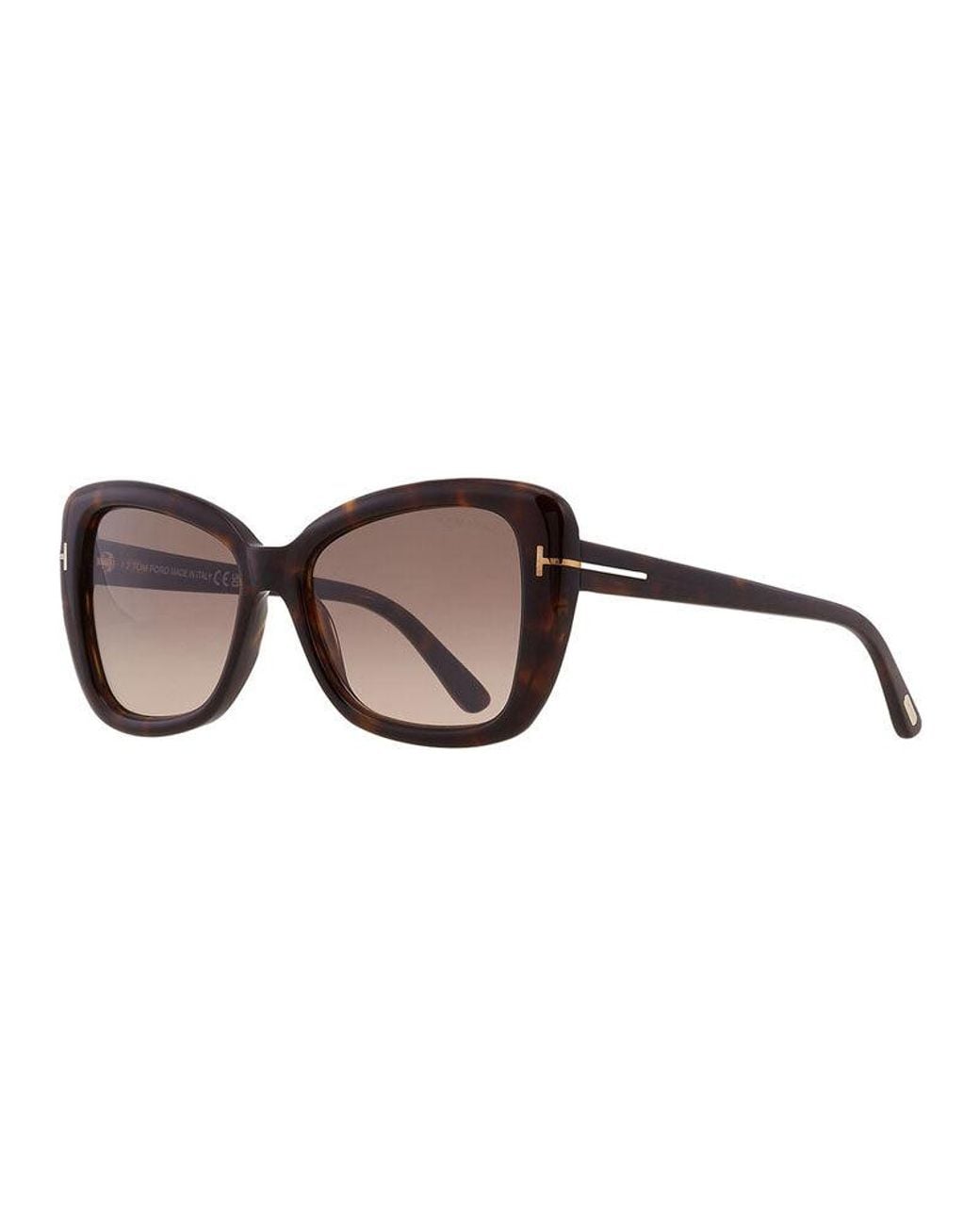 Tom Ford Brown Ft1008 Sunglasses