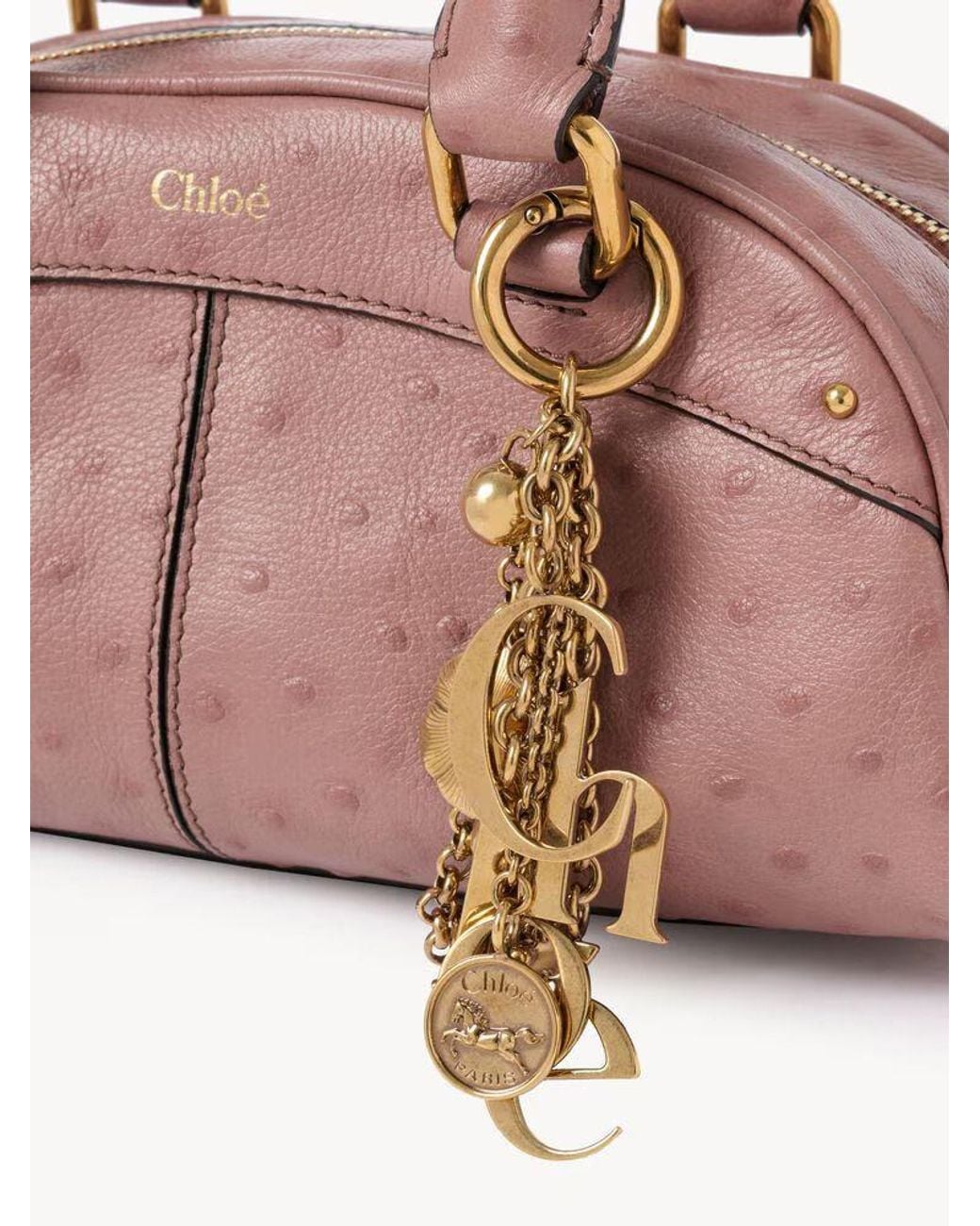 Chloé Pink Chloé-Hardware Leather Shoulder Bag