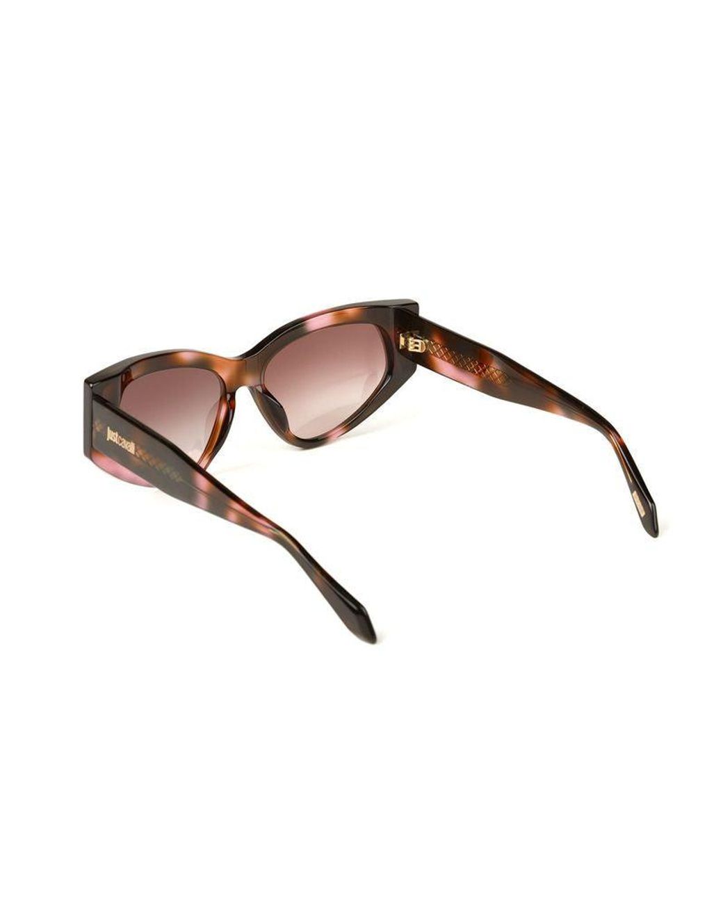 Just Cavalli Multicolor Sunglasses Havana- Acetate Eyewear