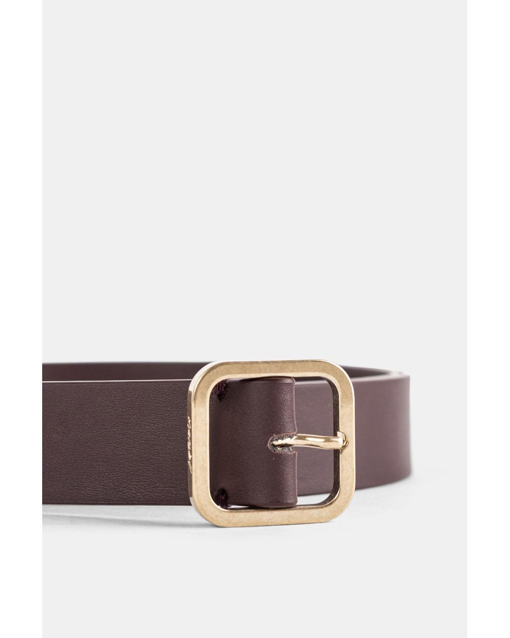 Marsèll Brown Ceinture Quadra Cioccovino Belt
