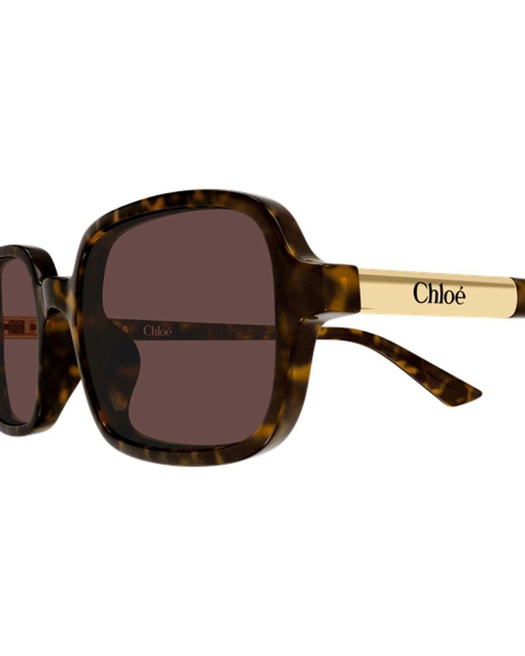 Chloé Brown Chloé