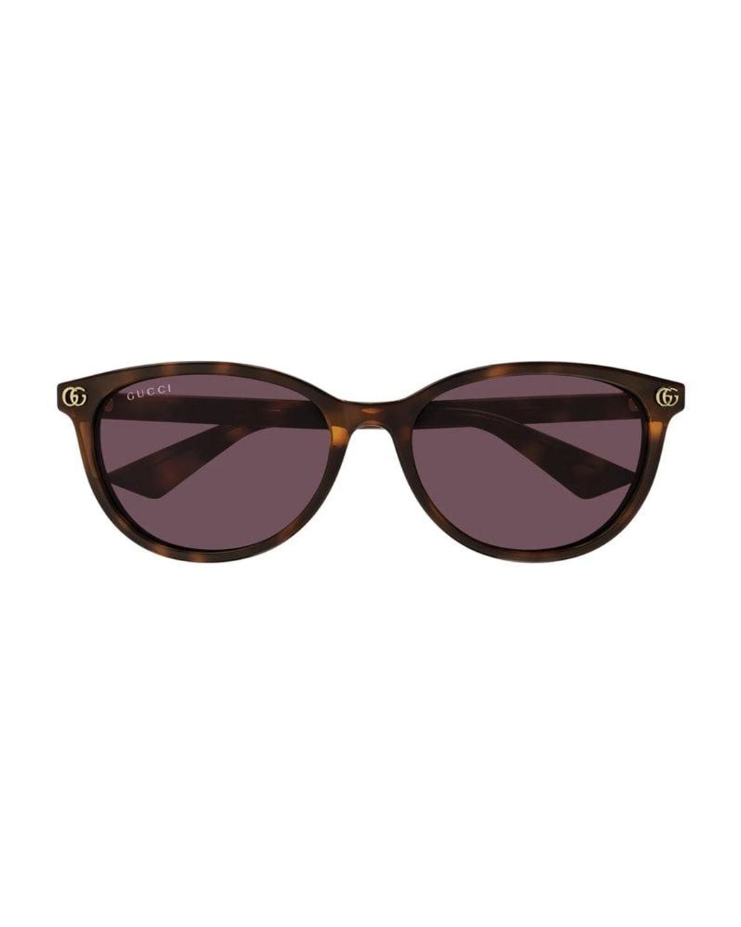 Gucci Brown Sunglasses Cat Eye Full Rim, Havana Frame And Lens Gg1818Sk002