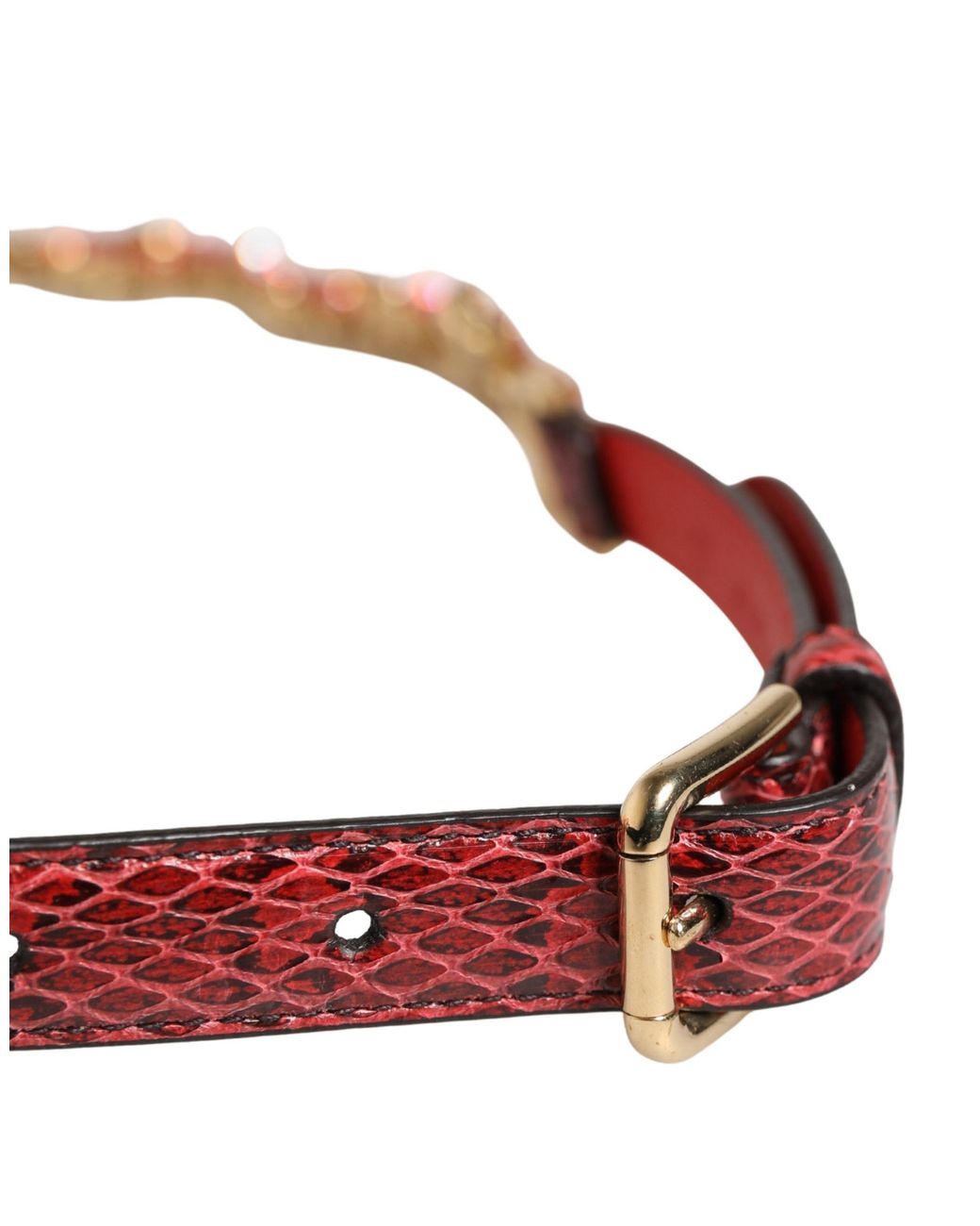 Dolce & Gabbana Red Leather Daisy Crystal Embellished Waist Belt Cristal Real Brass Ayers