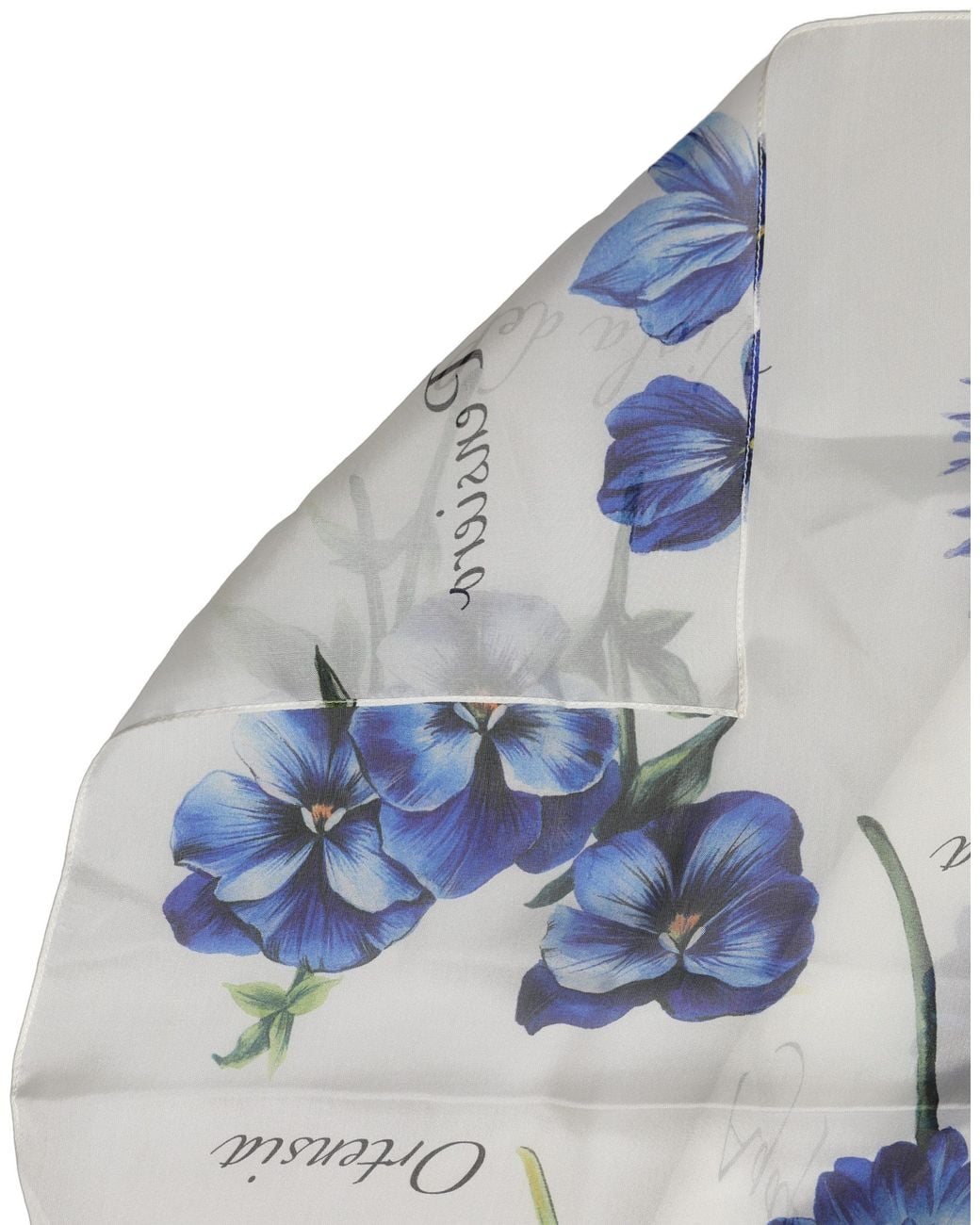 Dolce & Gabbana Gray Silk Floral Chiffon Long Stole Scarf