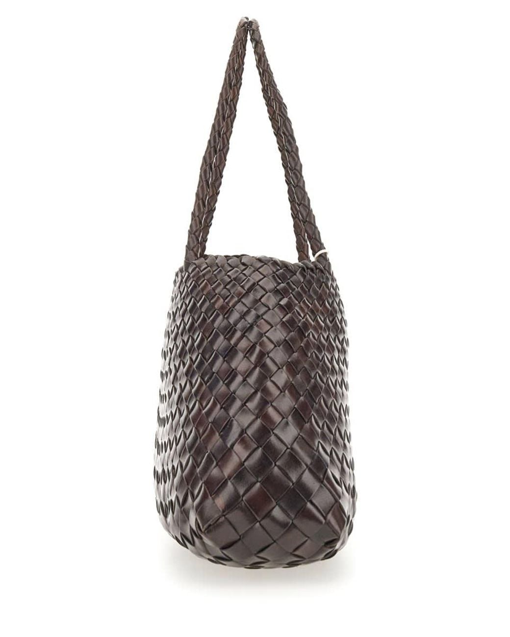 Dragon Diffusion Brown Borsa Santa Croce Big