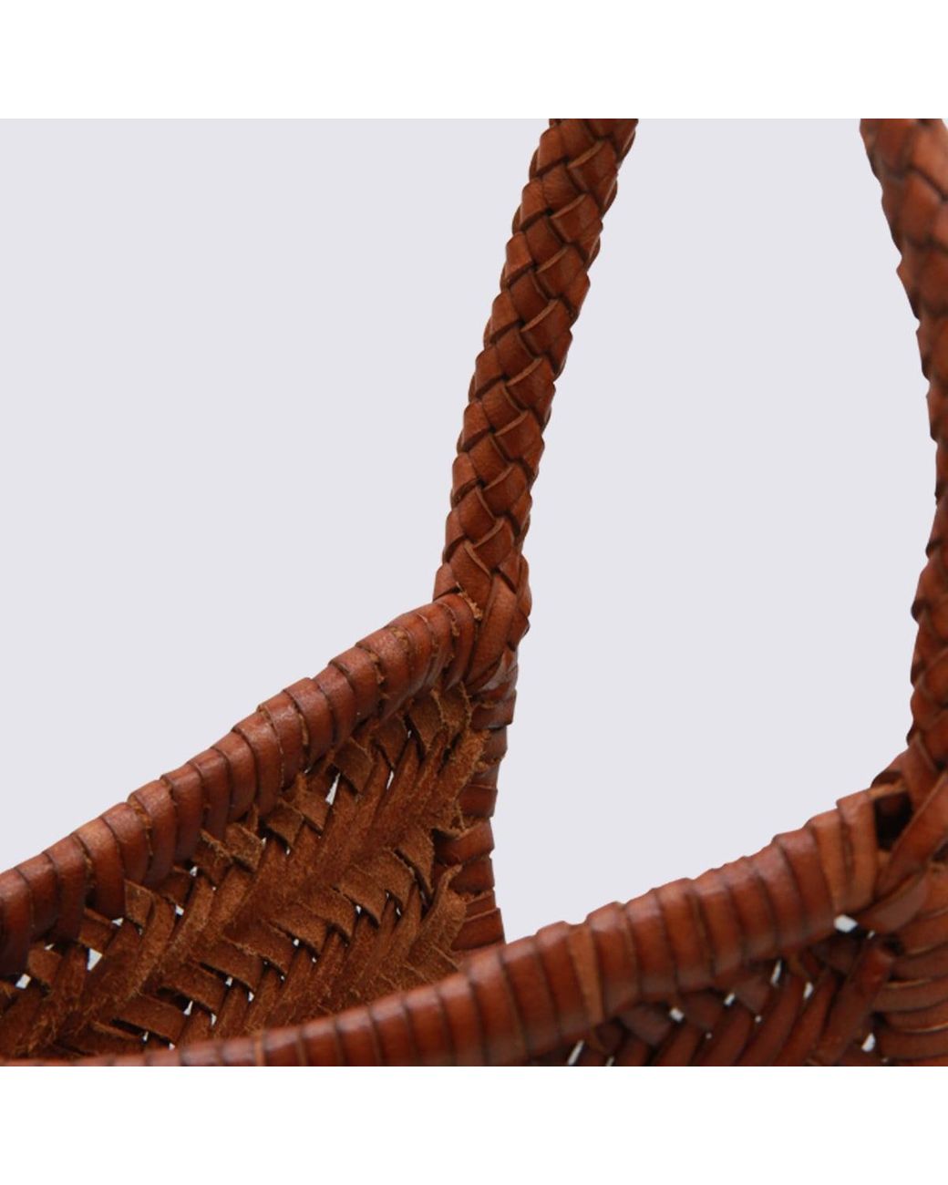 Dragon Diffusion Brown Dark Leather Diagonal Totes