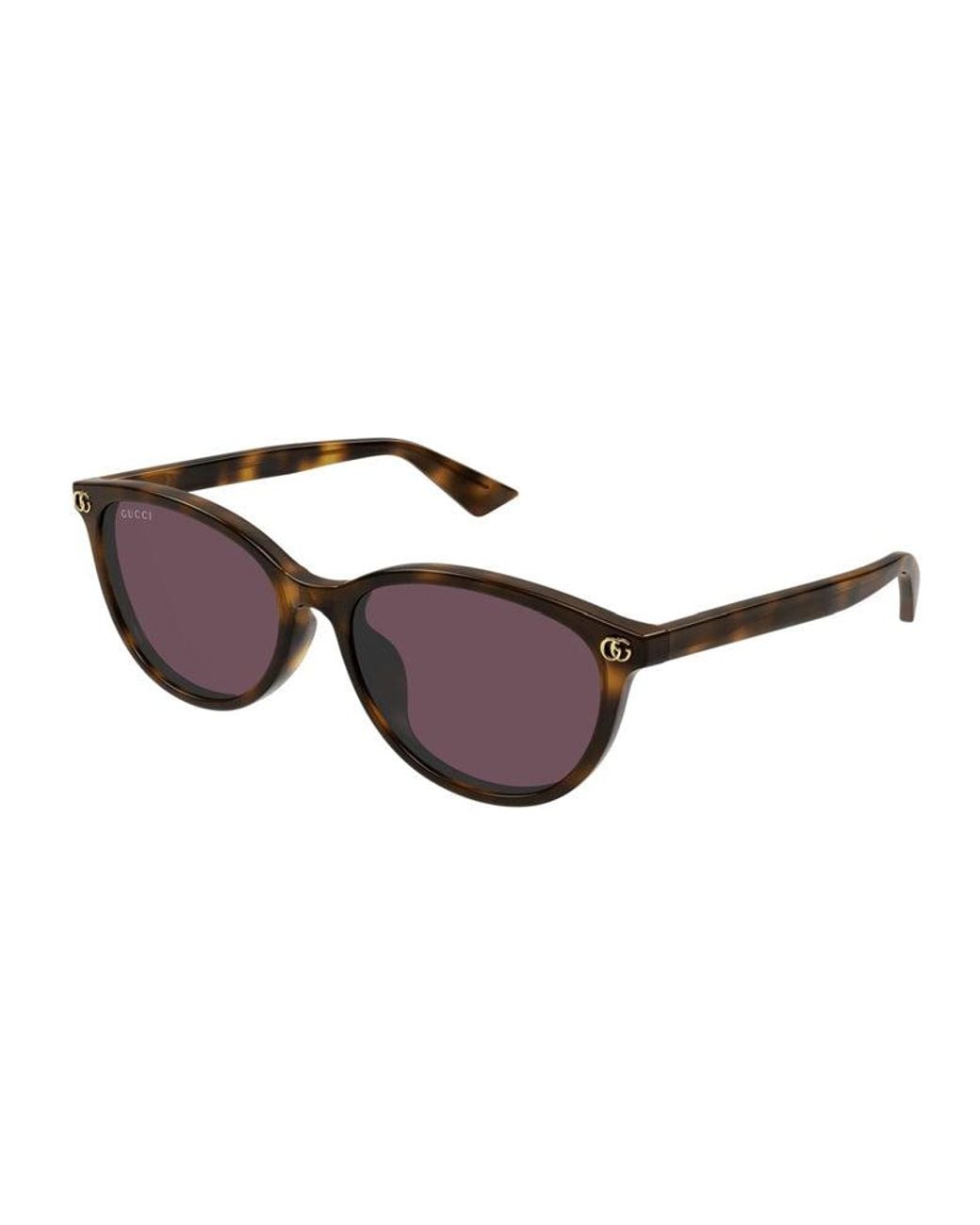 Gucci Brown Sunglasses Cat Eye Full Rim, Havana Frame And Lens Gg1818Sk002