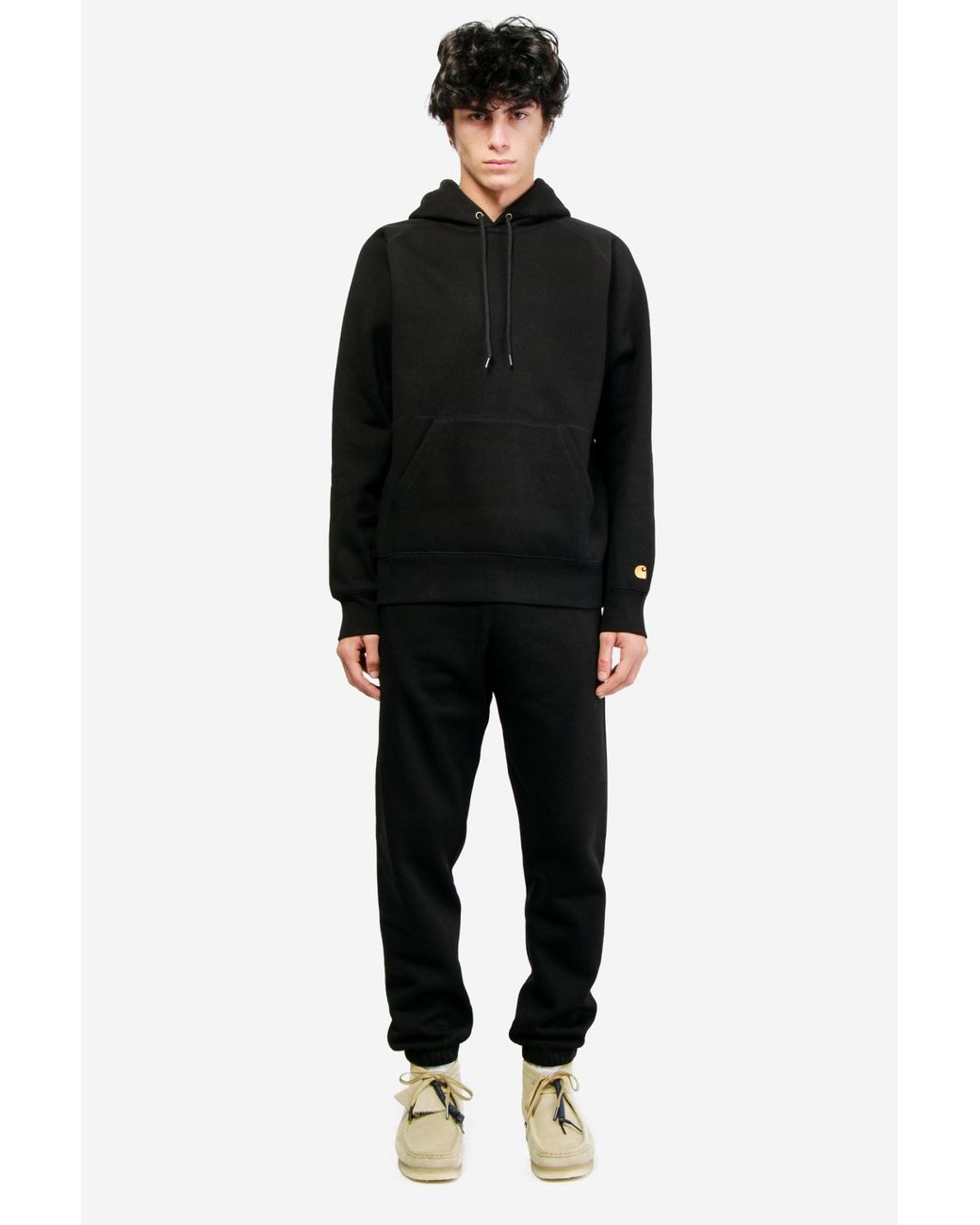 carhartt chase pants