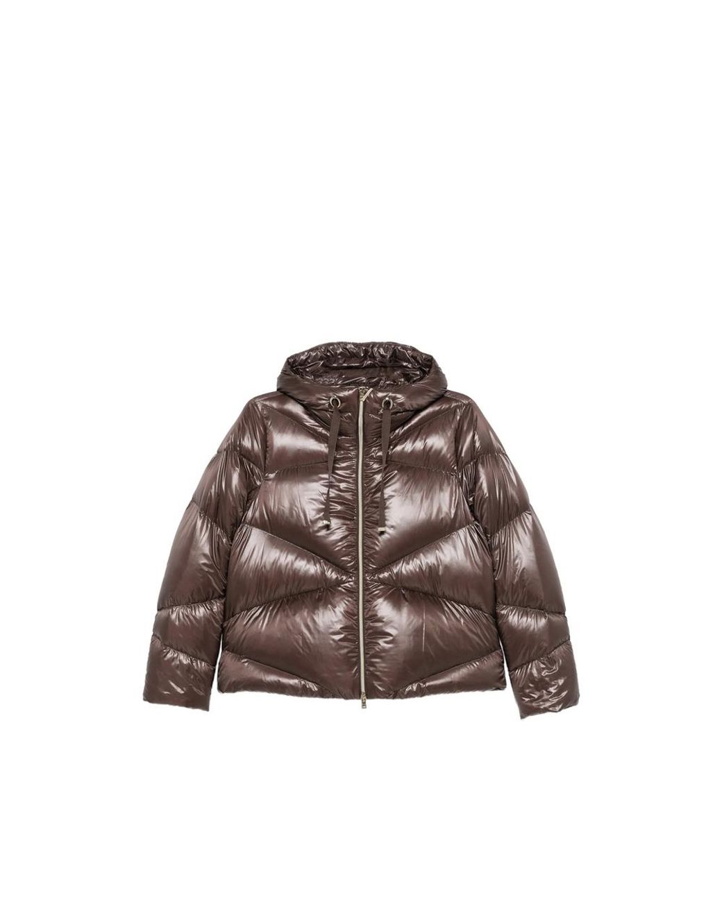 Herno Brown Jackets