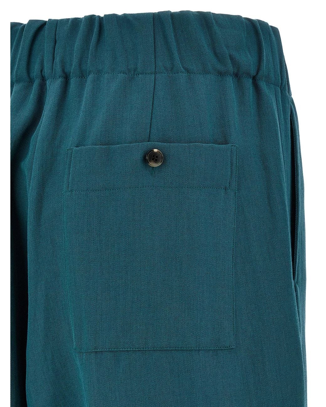 Dries Van Noten Blue Pila Pants Wool Pi Polyamide