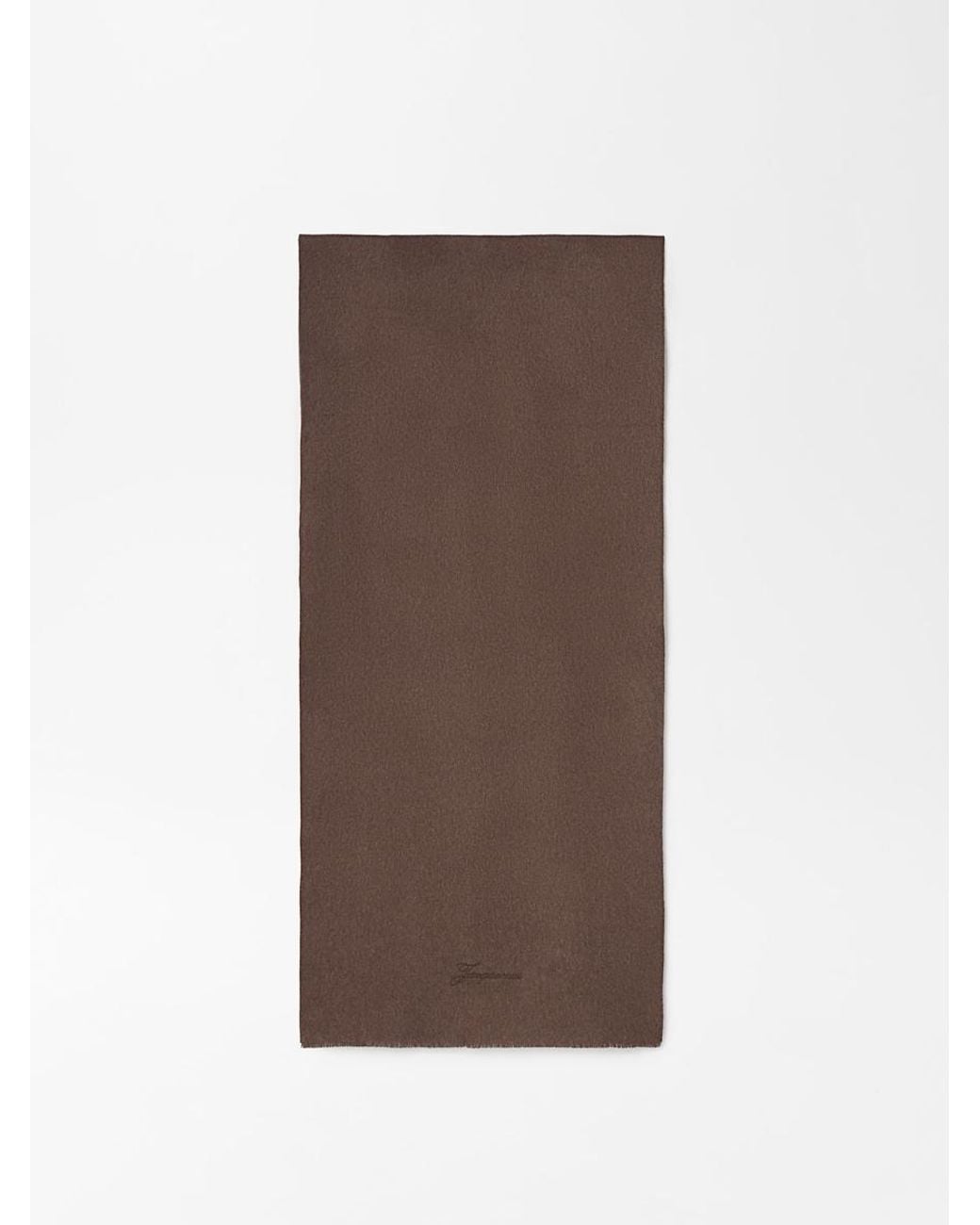 Jacquemus Brown Der Tailleur Schal