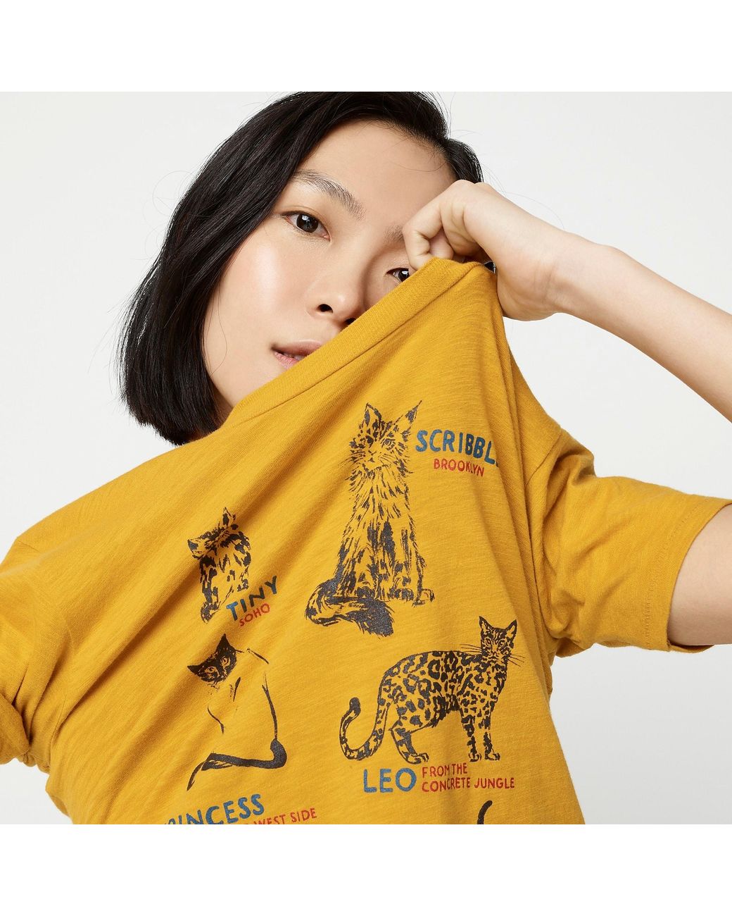 j crew cat shirt