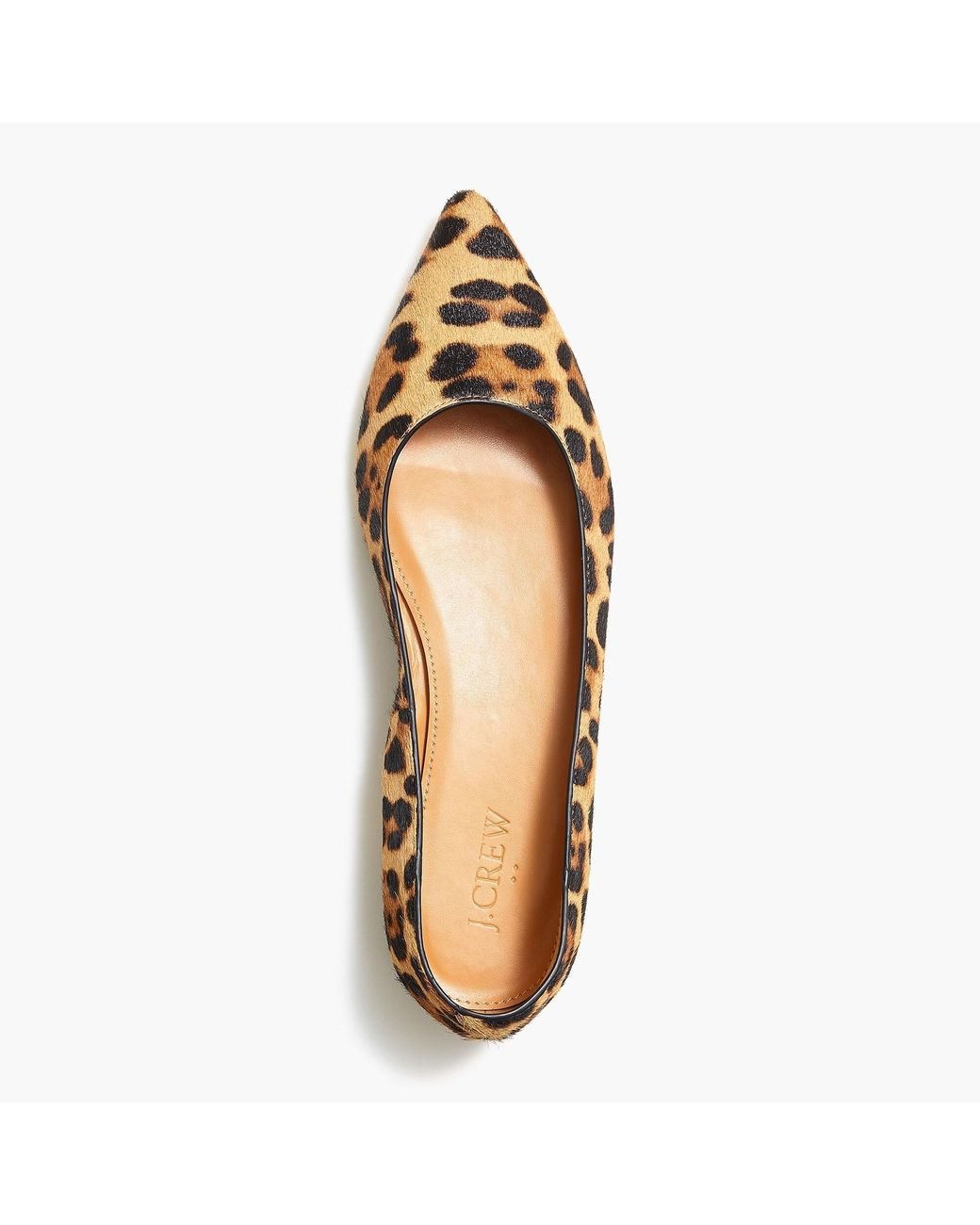 Pointed leopard flats on sale