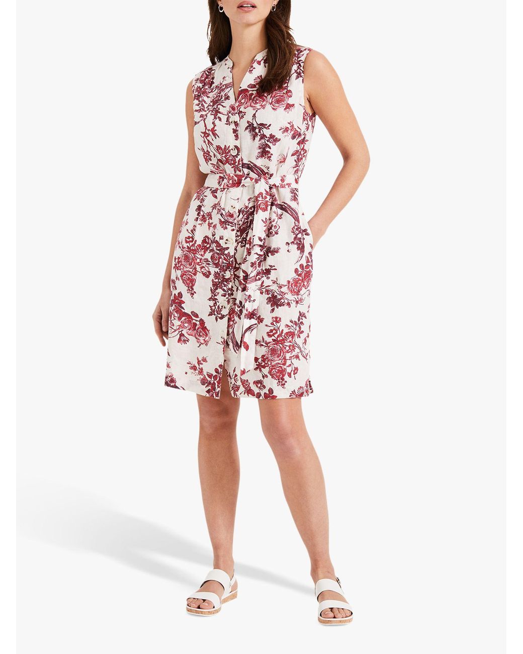phase eight toile de jouy dress
