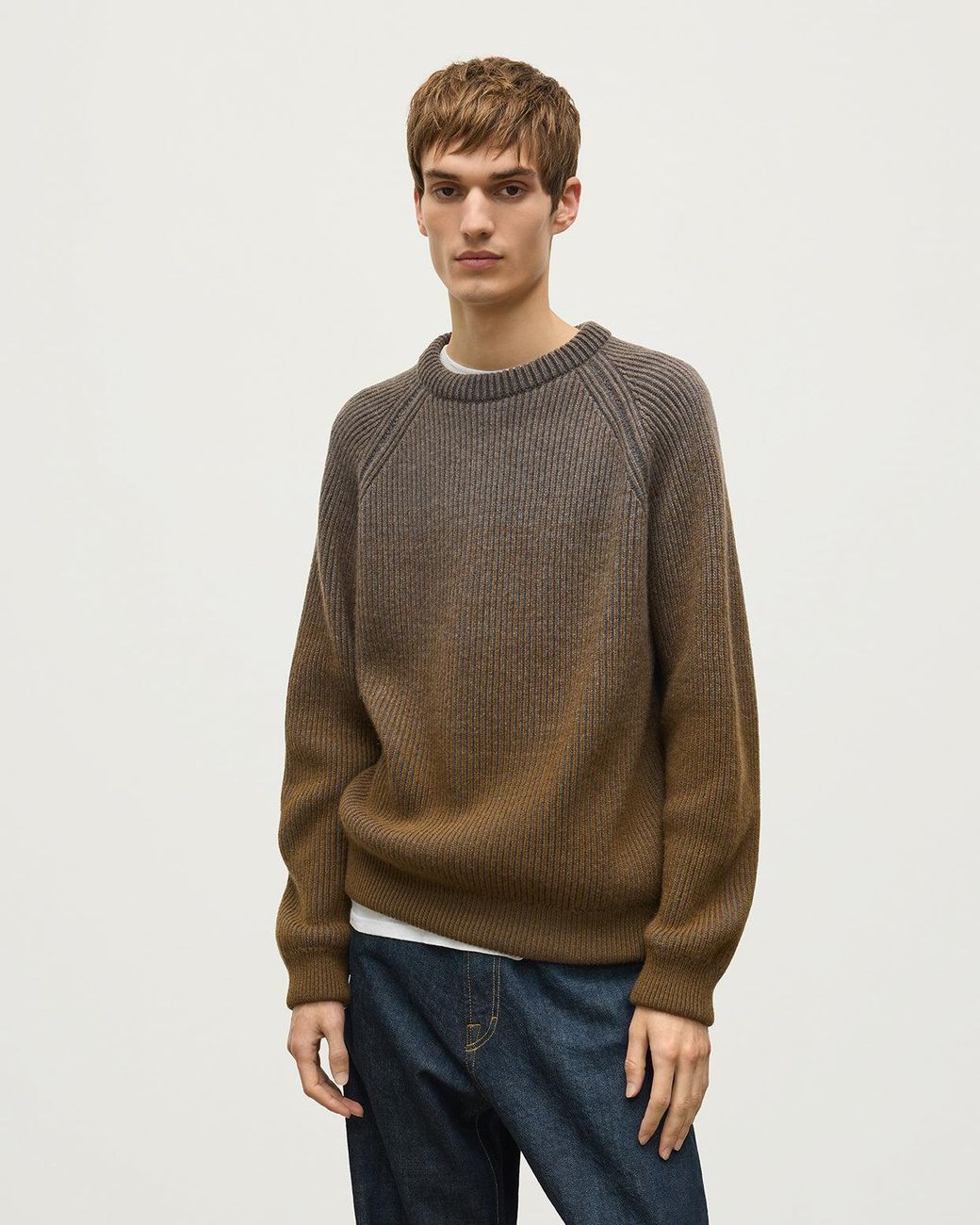 Johnstons Natural Pioneer Ombre Cashmere Jumper for men