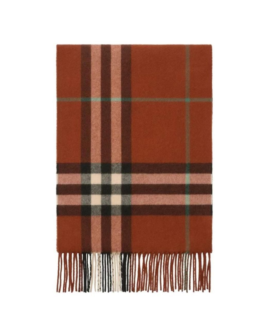 Burberry Brown Check Fringed Cashmere Scarf for men