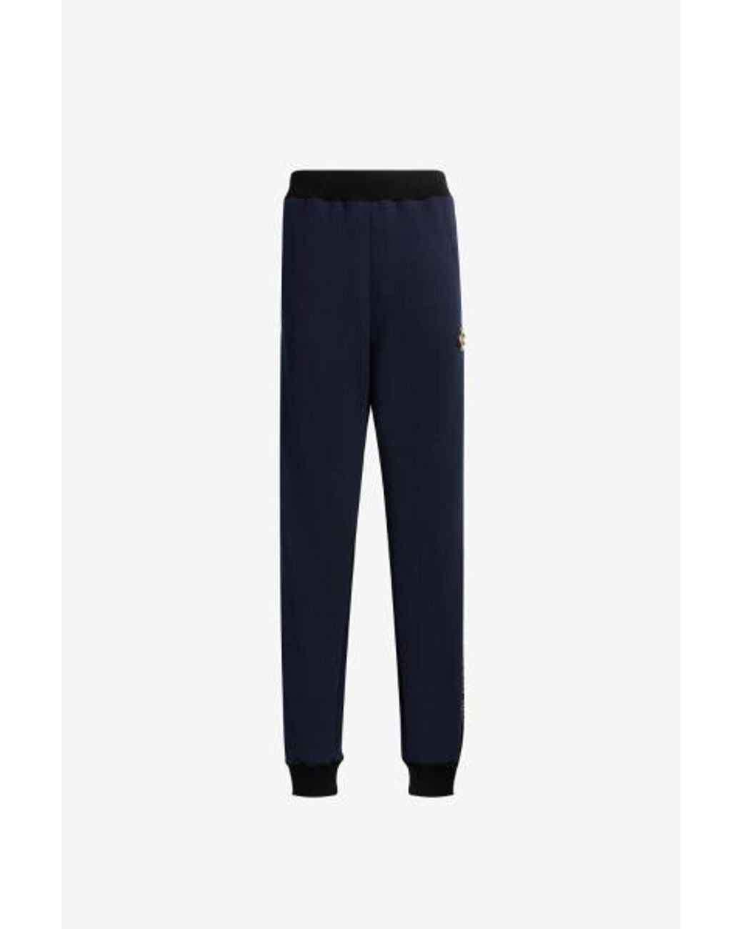 Roberto Cavalli Blue Cotton-Blend Regular Fit Jogger Trousers for men