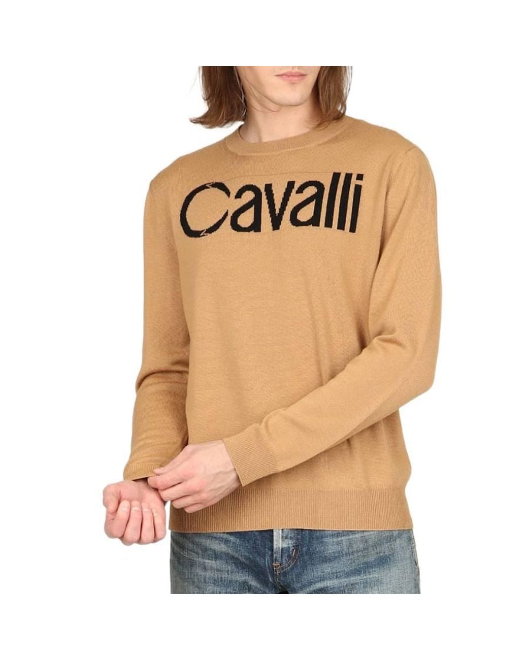 Roberto Cavalli Multicolor Logo Jacquard Wool Jumper for men