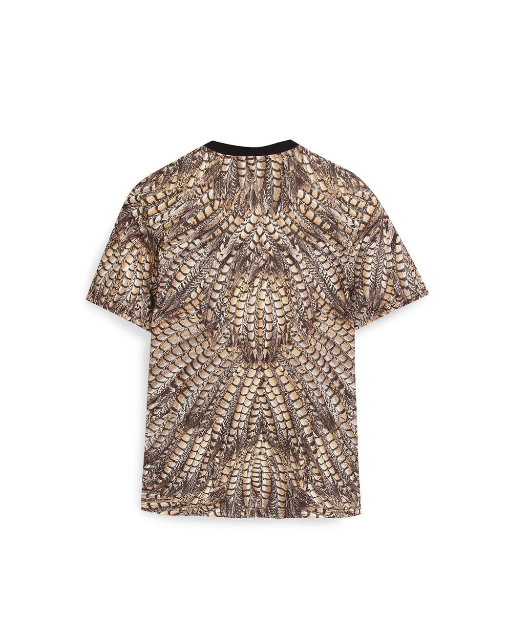 Roberto Cavalli Brown Falcon-Print Cotton T-Shirt for men