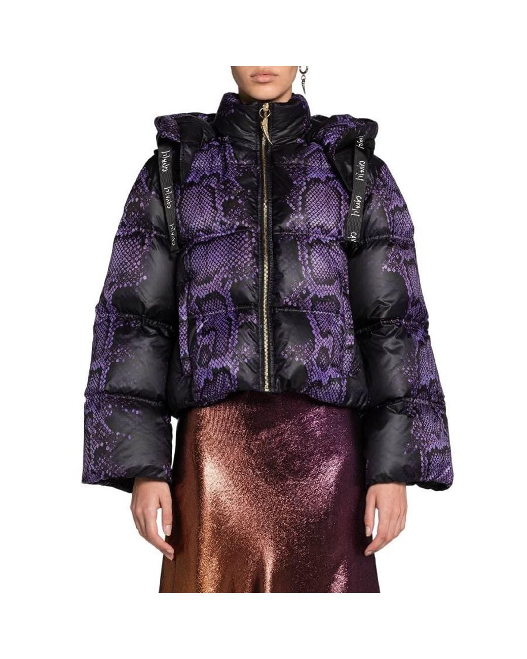 Roberto Cavalli Purple Python Print High Neck Padded Jacket, Brand Size 40 Us for men