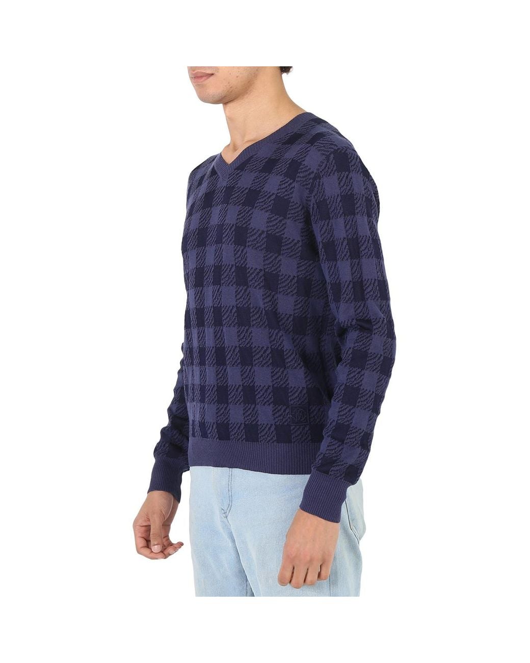 Roberto Cavalli Blue Zebra Vichy Jacquard Sweater for men