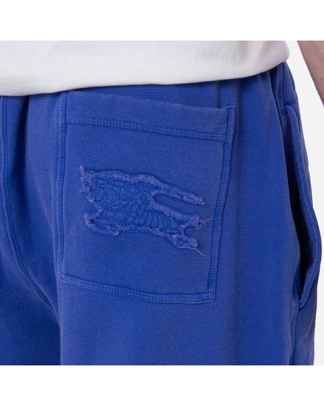 Burberry Blue Ekd Embroidered Cotton Blend Shorts for men