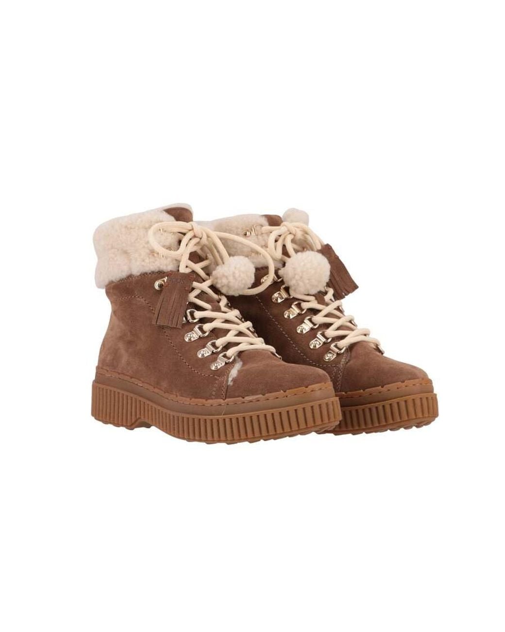 Tod's Brown Offwhite Sneaker for men