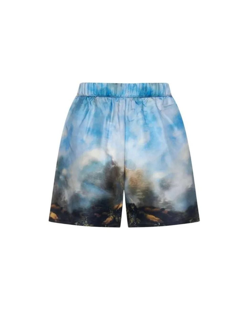 Roberto Cavalli Blue Graphic Print Silk Shorts, Brand Size 44 Us for men