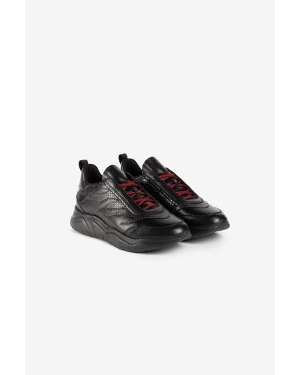 Roberto Cavalli Black Firenze Python Flame Sneakers, Brand Size 41 Us for men