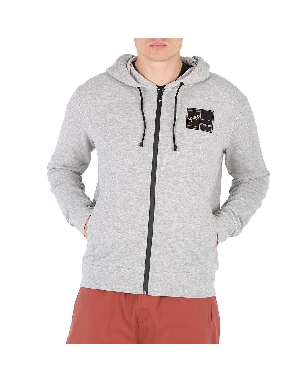 Roberto Cavalli Gray Melange Cotton Eagle Print Zip Hoodie for men