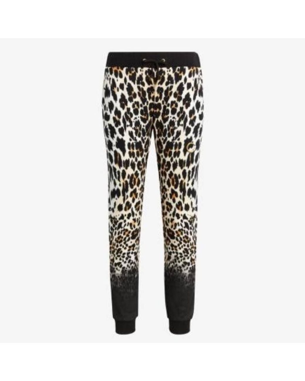 Roberto Cavalli Black Leopard Print Cotton Track Pants for men