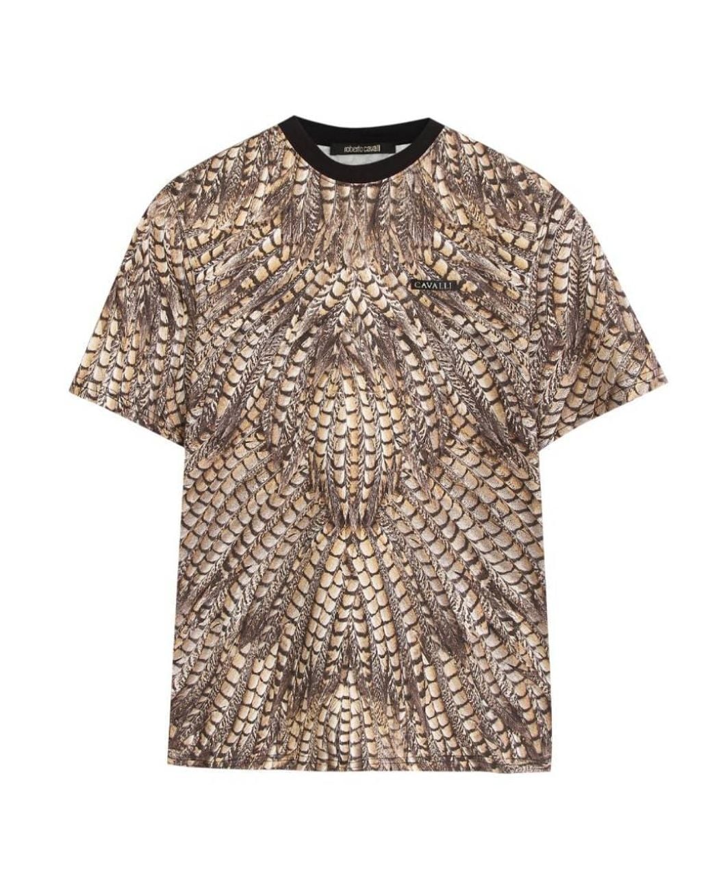 Roberto Cavalli Brown Falcon-Print Cotton T-Shirt for men