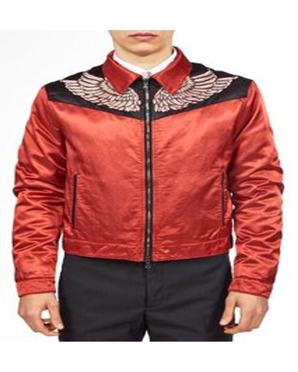 Roberto Cavalli Wing Embroidered Bomber Jacket, Brand Size 54 Us for men