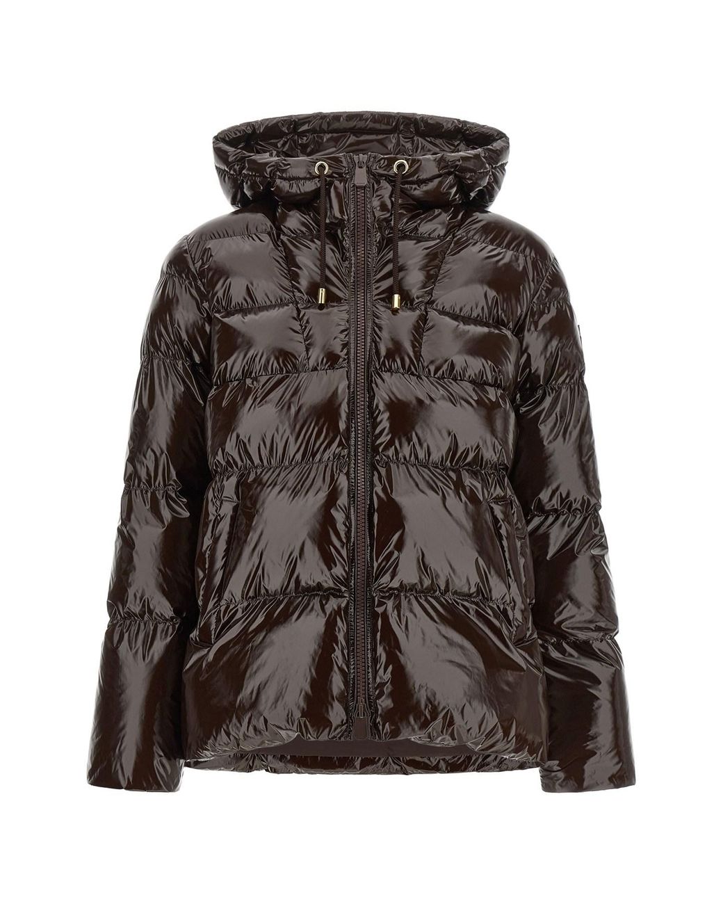 Pinko Brown 'eleodoro' Down Jacket