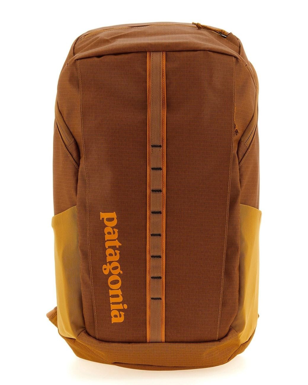 Patagonia Brown 'black Hole® Pack' Backpack for men