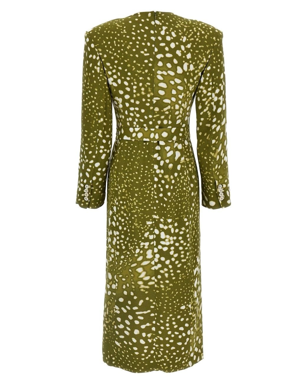 Dries Van Noten Green 'Dohana' Dress