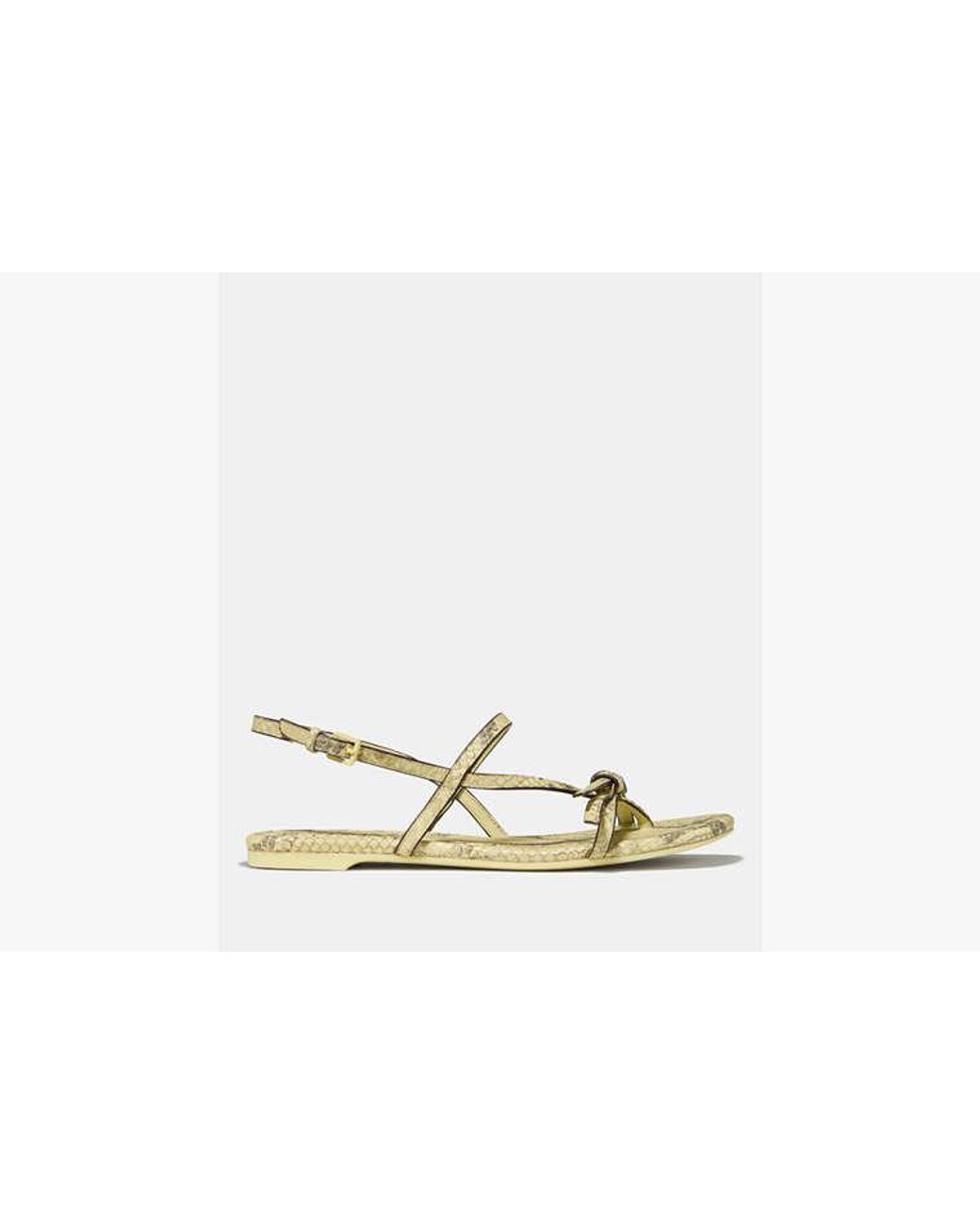 Kate Spade Metallic Kate Spade Loop Flat Sandal