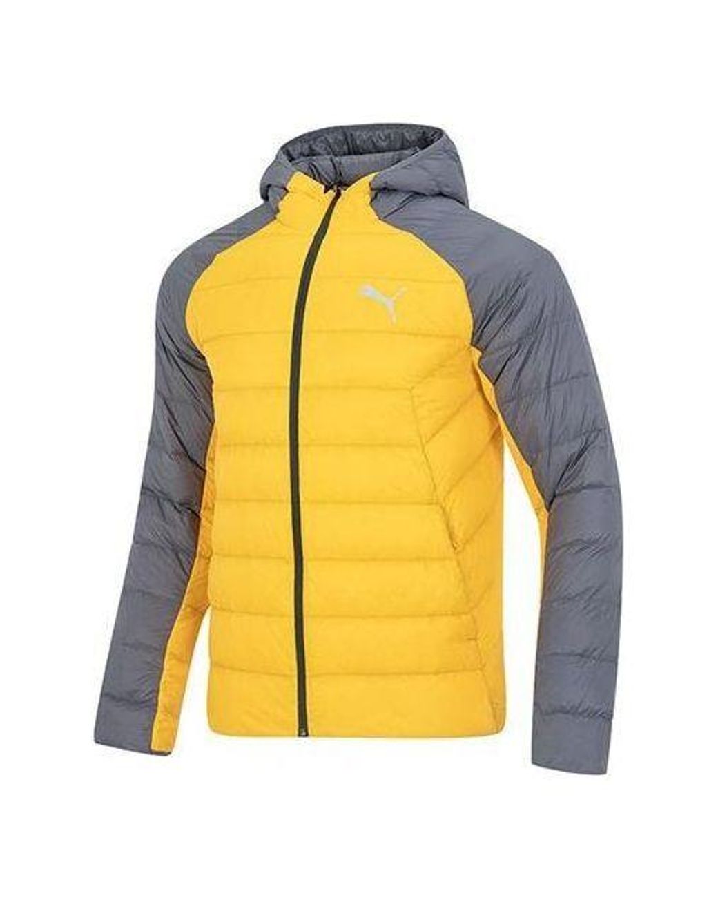 PUMA Yellow Pwrwarm Packlite Hd Jacket Logo for men