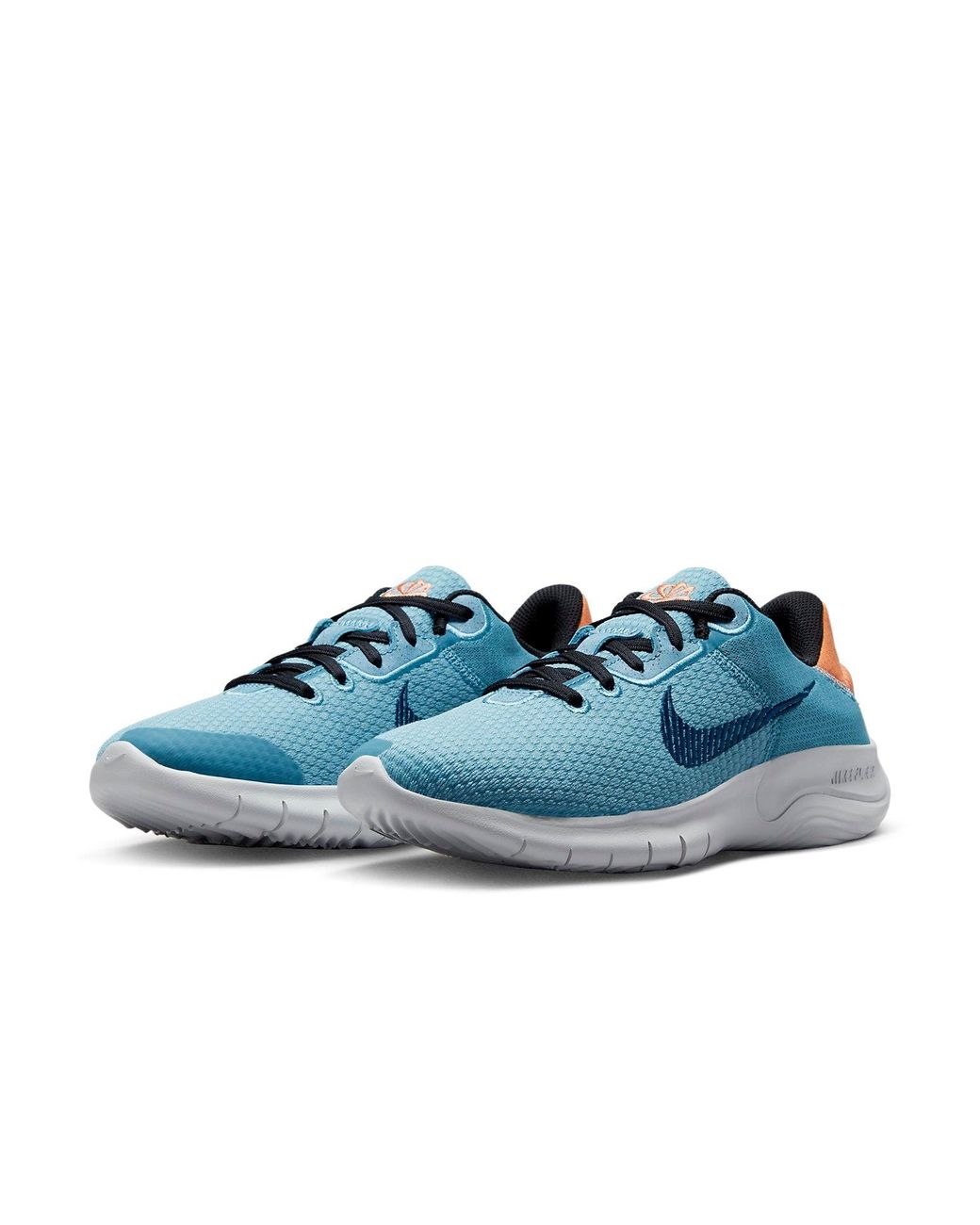 Nike Blue (Wmns) Flex Experience Run 11 Next Nature