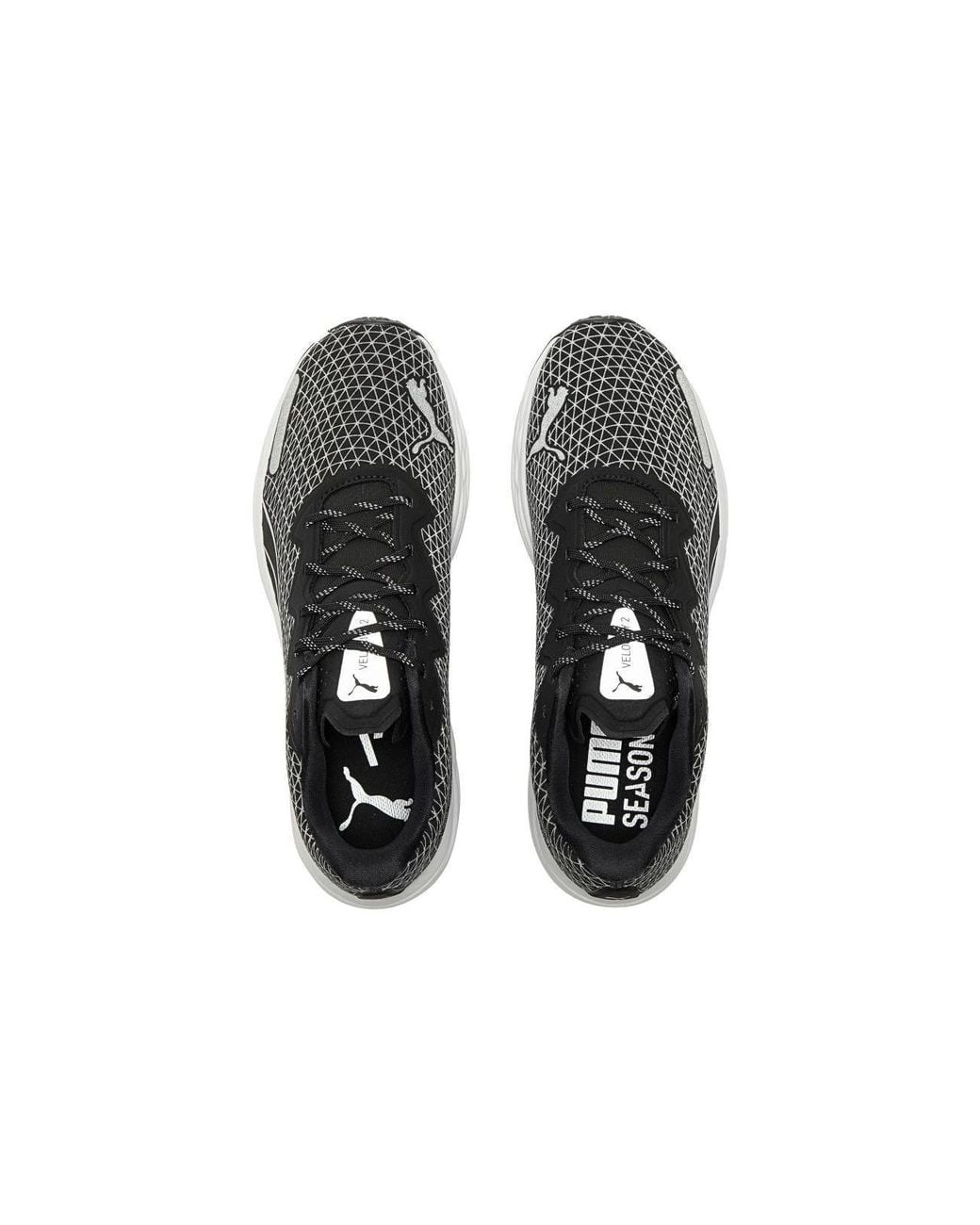 PUMA Black Velocity Nitro 2 Wtr Running Shoes for men