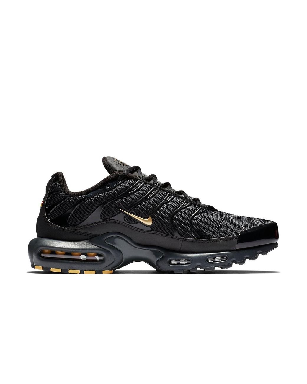 black gold tns