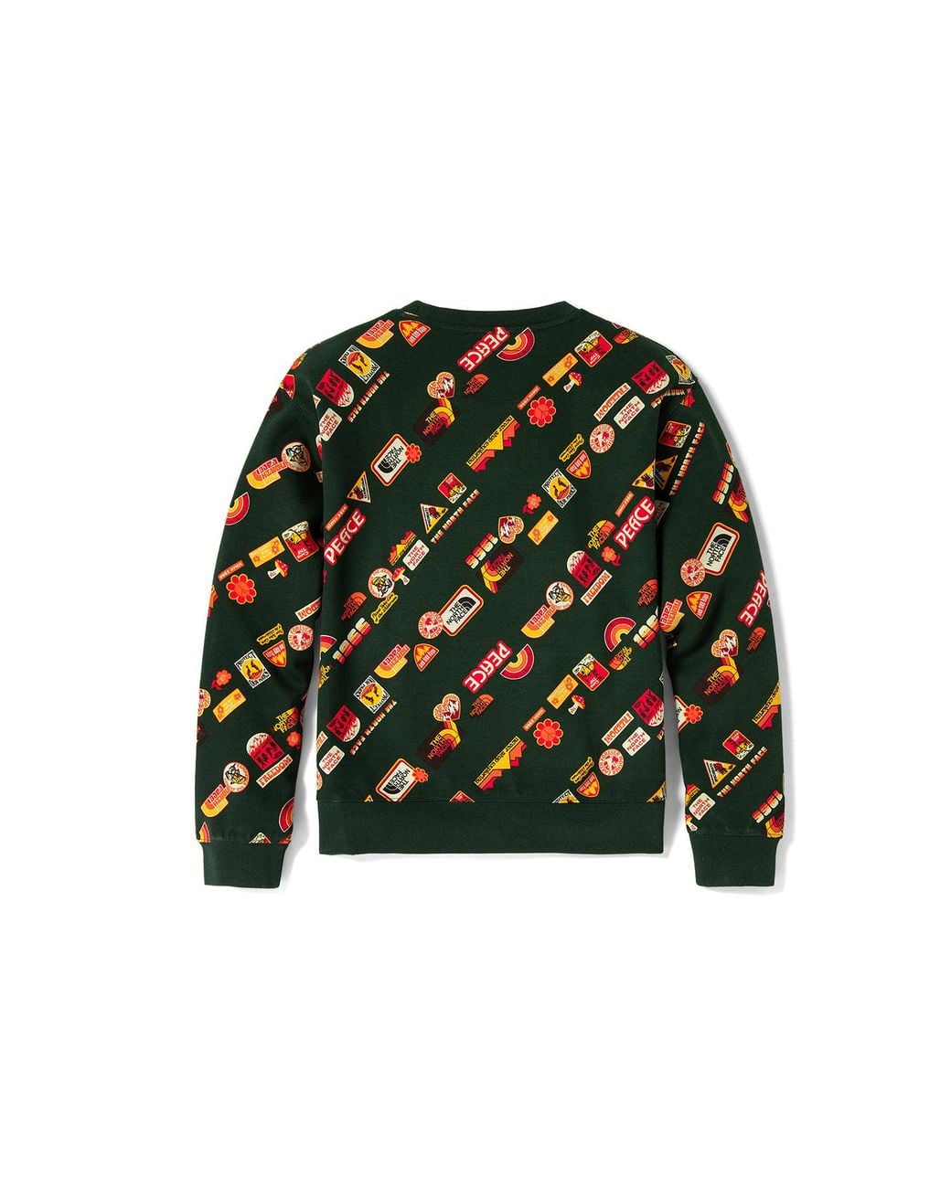 The North Face Green (Wmns) Vanlife Logo Sweater