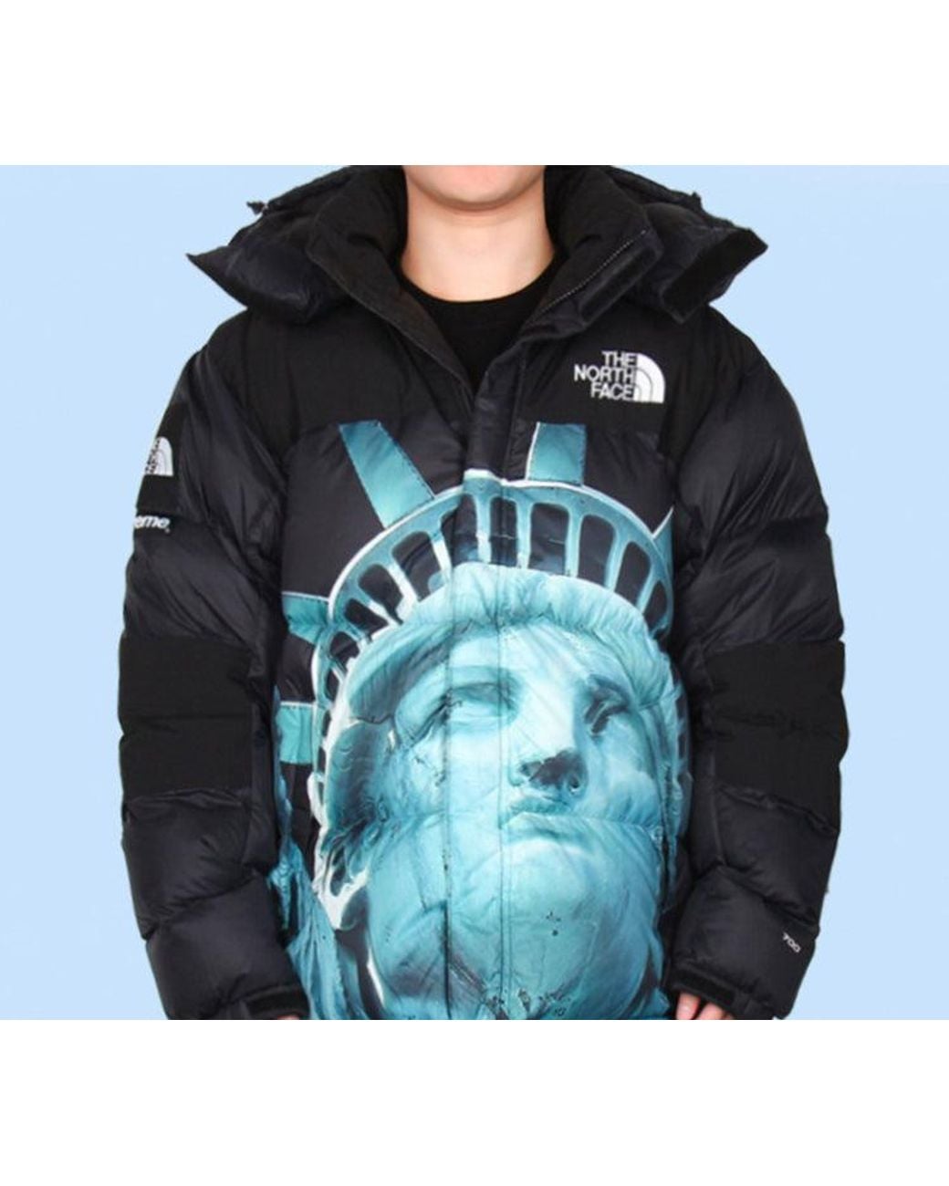 Supreme Blue X The North Face Statue Of Liberty Mountain Jacket for men