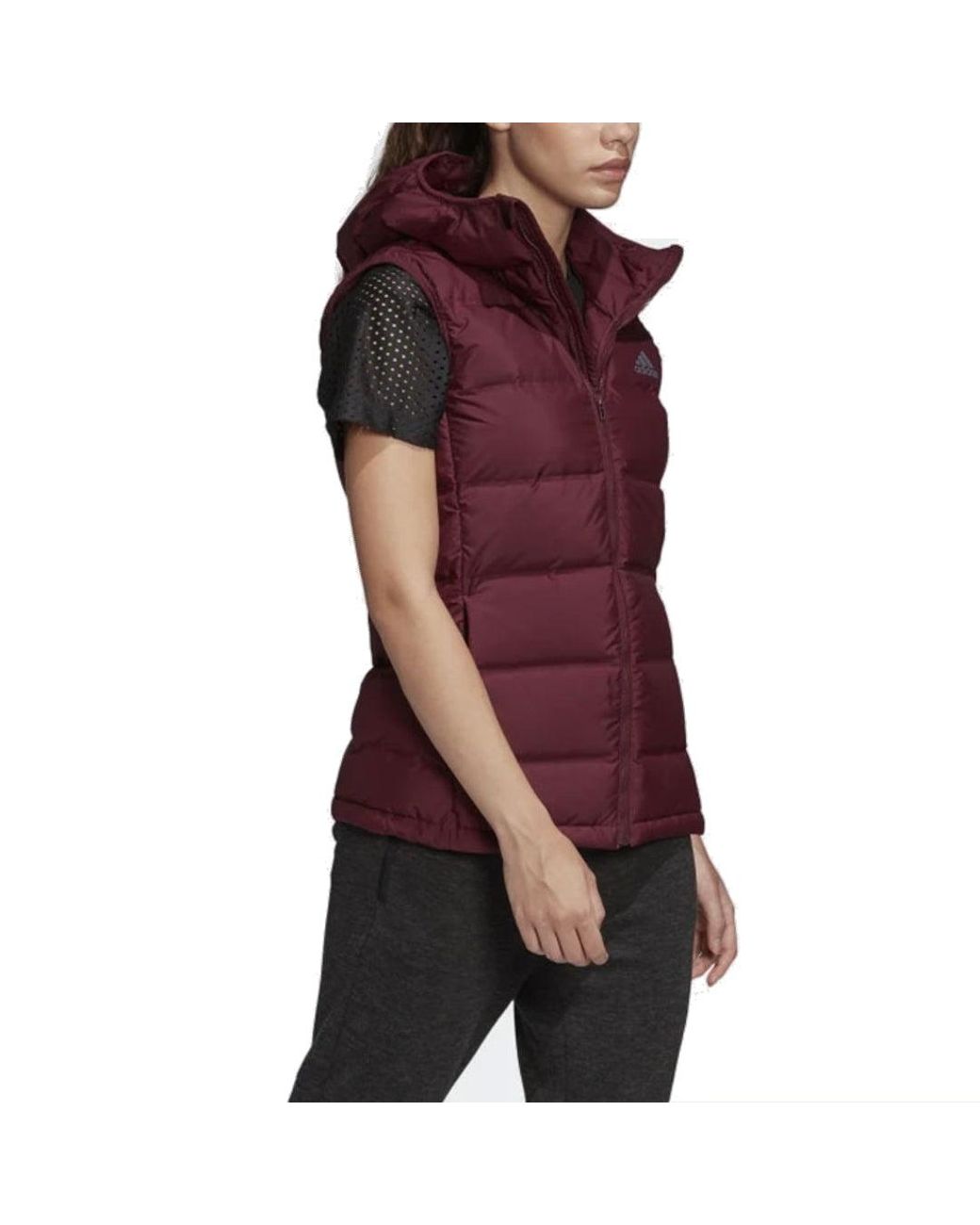 Adidas Purple (Wmns) Terrex Helionic Vest